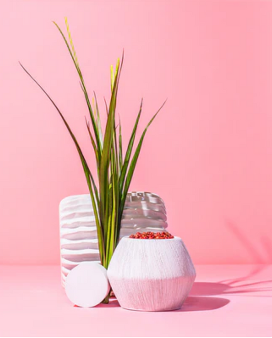 Tokyo Blossom Candle